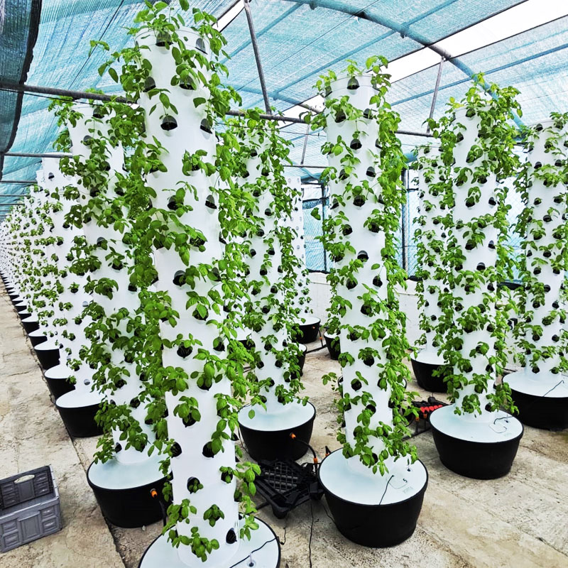 Hydroponic Tower - Sistema di Coltivazione Idroponica Verticale di