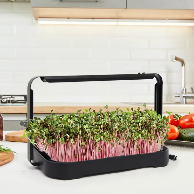 Smart Garden Kit - Vassoio Idroponico per Microgreens da Interno,