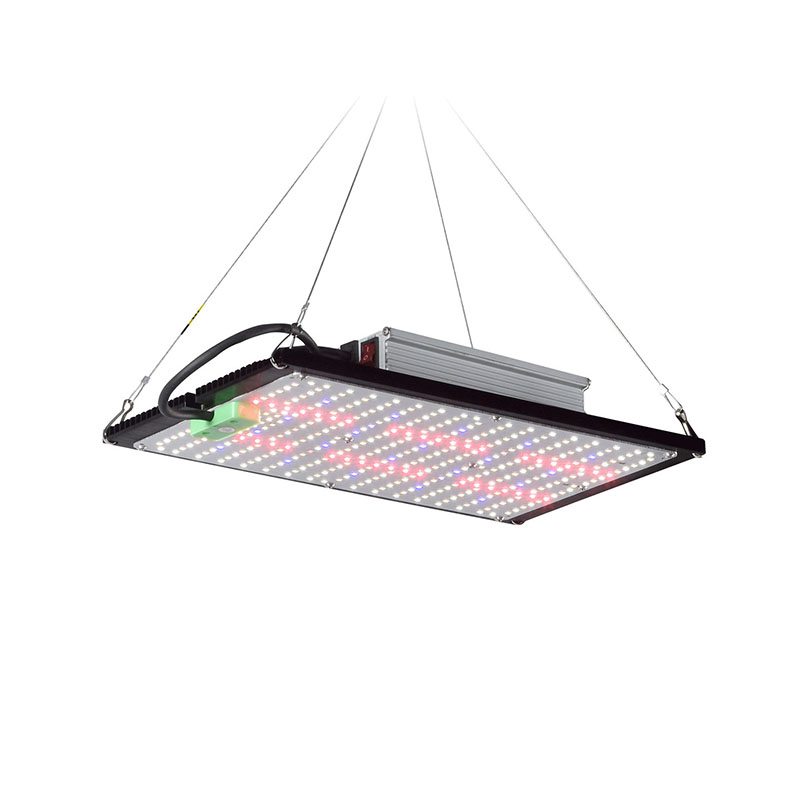 Lampada LED Quantum-Board per  - Grow Light Led recensione e prezzo