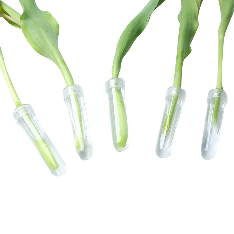 Tubo di nutrizione di fiori fr - Hydroponic Grow Pod recensione e prezzo