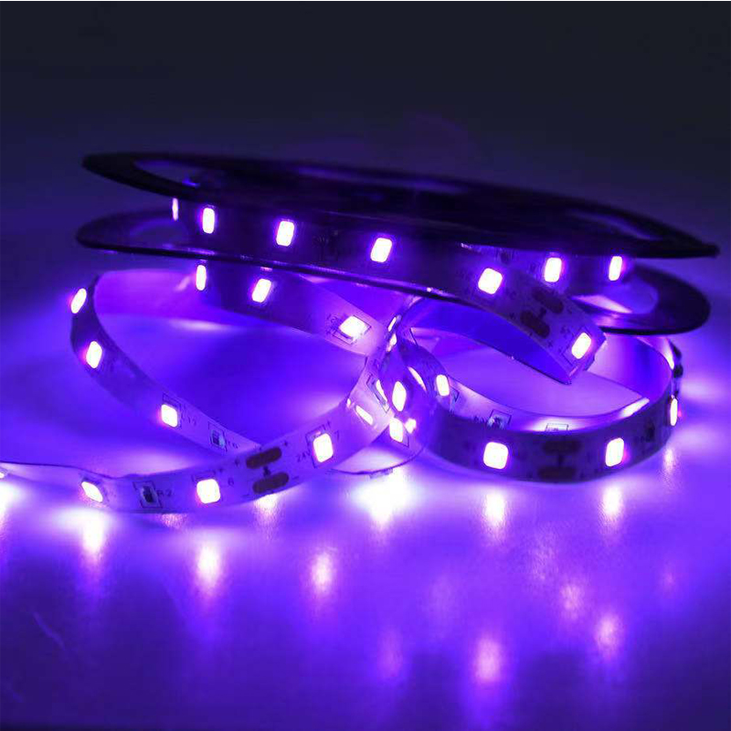Luce ultravioletta a LED UV, l - Grow Light Led recensione e prezzo