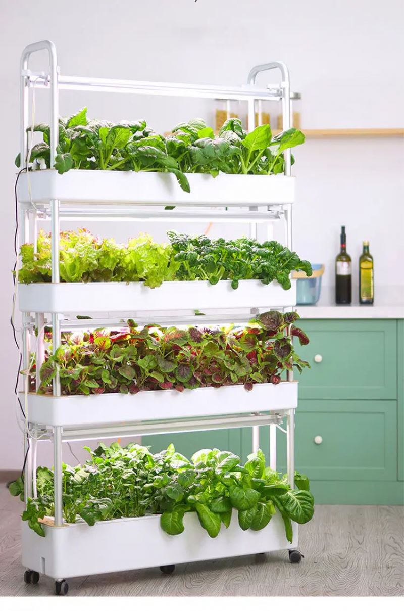 Sistema di Coltivazione Idropo - Hydroponic Tower recensione e prezzo