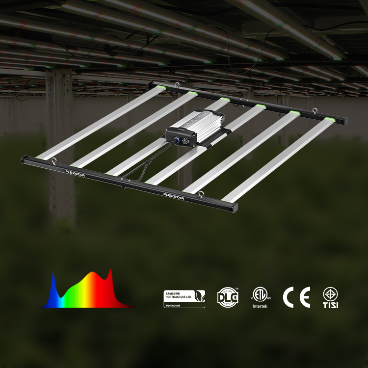 Lampada LED per Coltivazione F - Grow Light Led recensione e prezzo