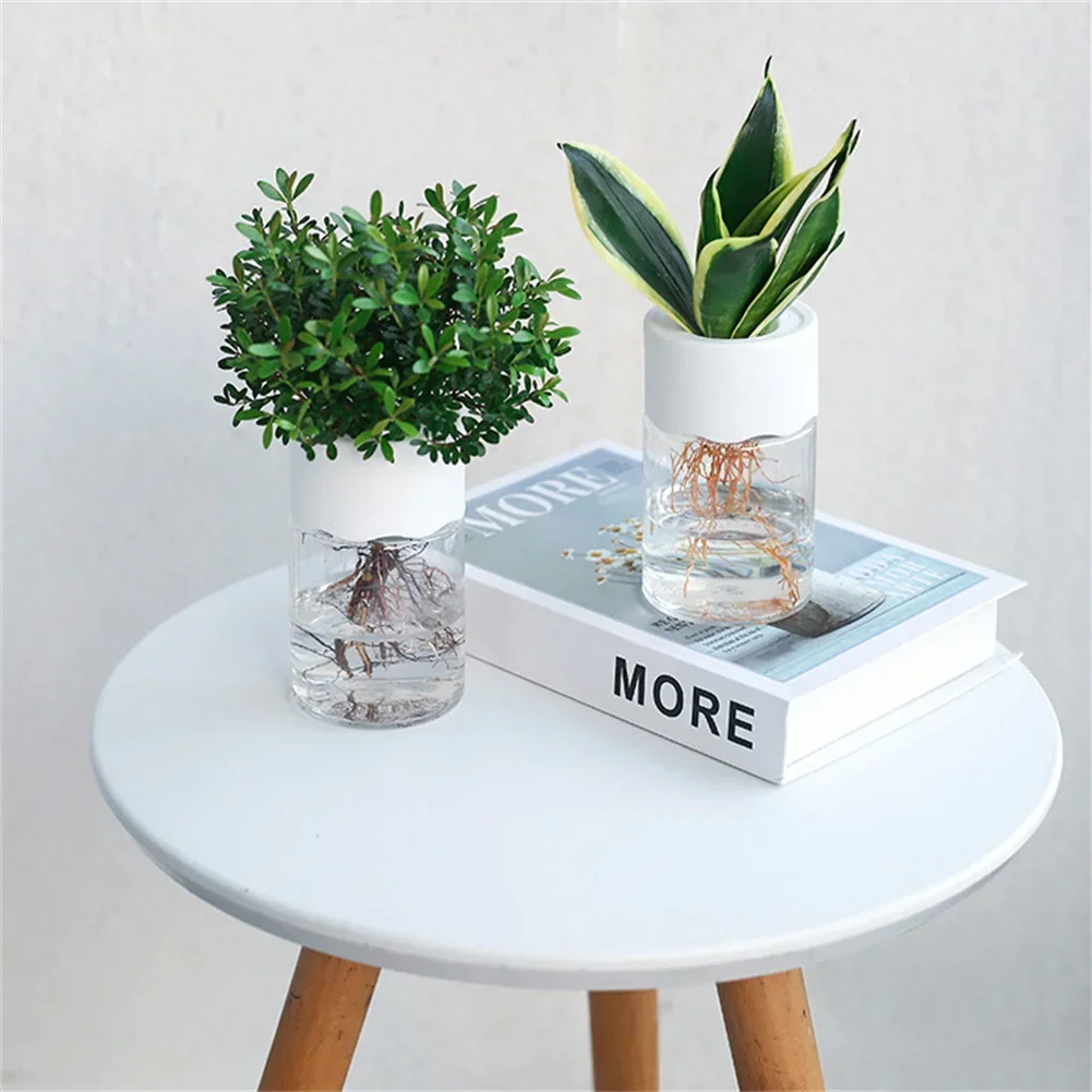 Mini Vaso Idroponico Trasparen - Hydroponic Grow Pod recensione e prezzo