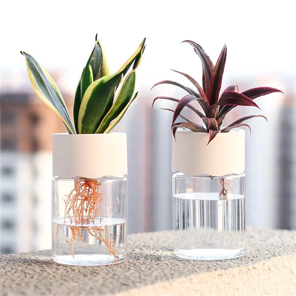 Mini Vaso Idroponico Trasparen - Hydroponic Grow Pod recensione e prezzo