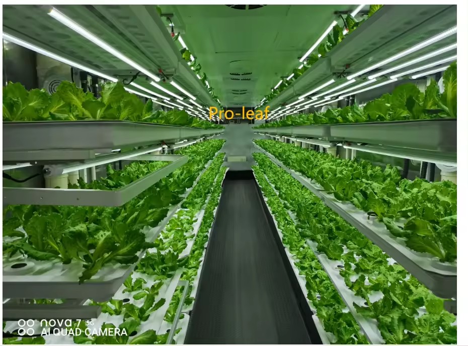 f Attrezzature agricole per se - Hydroponic Tower recensione e prezzo
