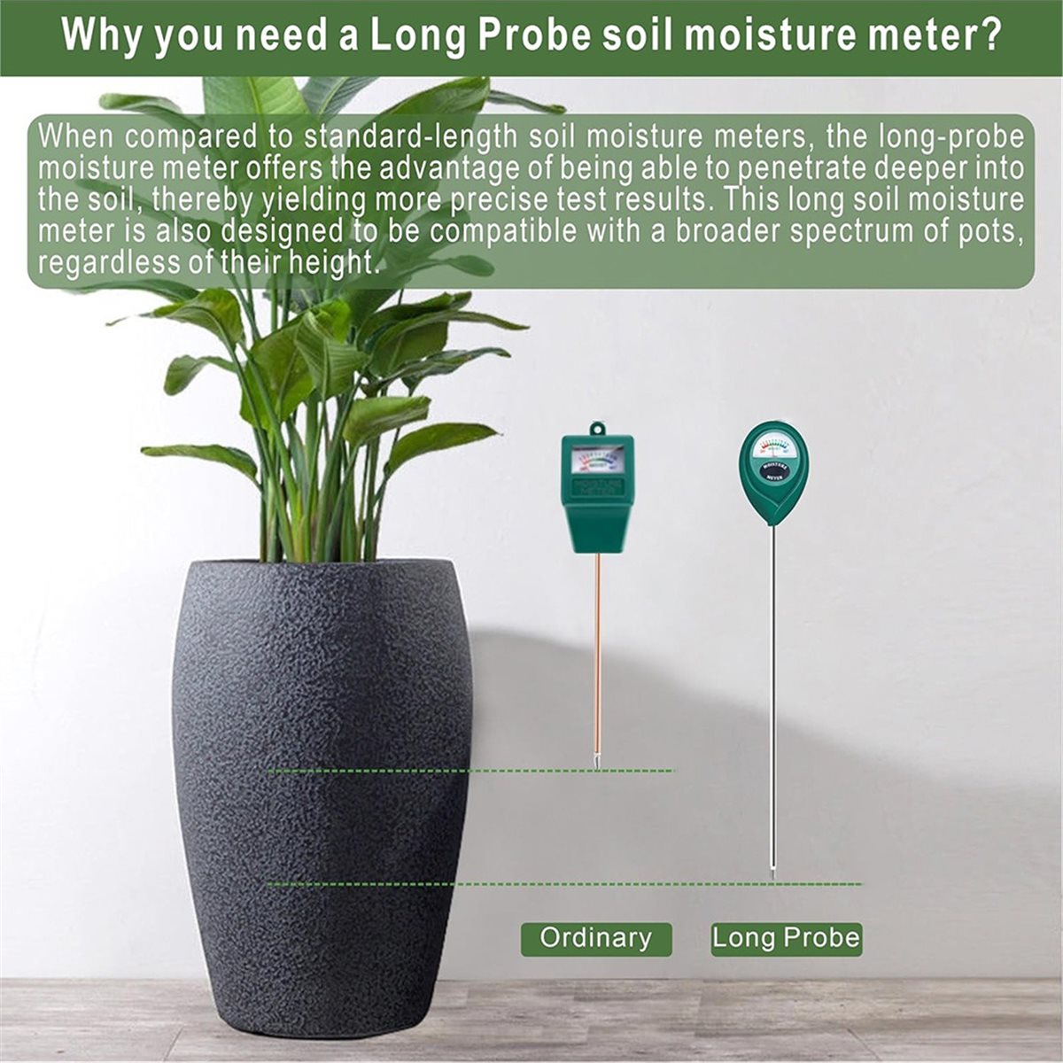 Misuratore di umidità del terr - Plant Sensor recensione e prezzo