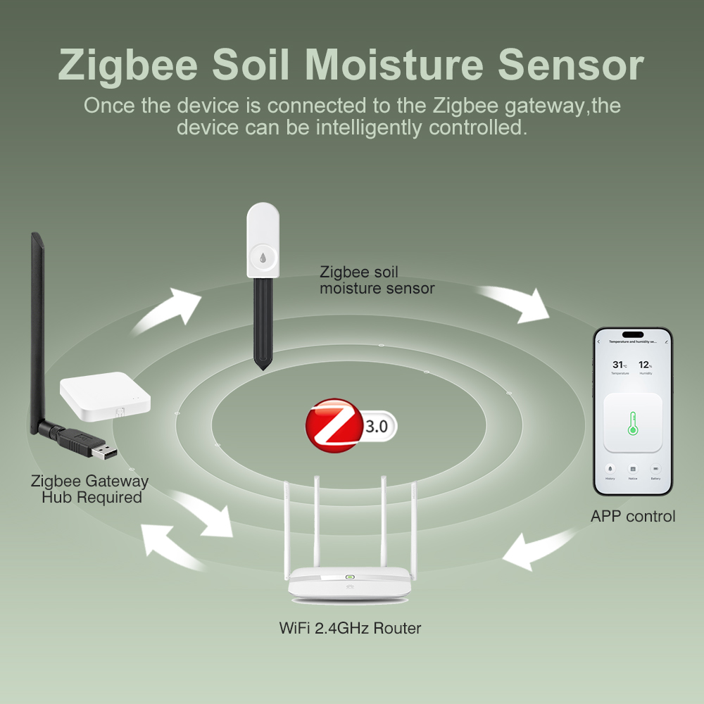 5 pezzi Tester di Umidità del  - Garden Camera recensione e prezzo