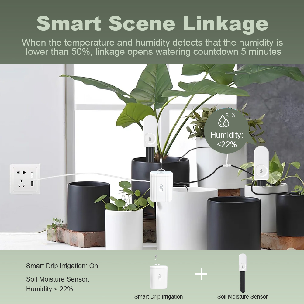5 pezzi Tester di Umidità del  - Garden Camera recensione e prezzo