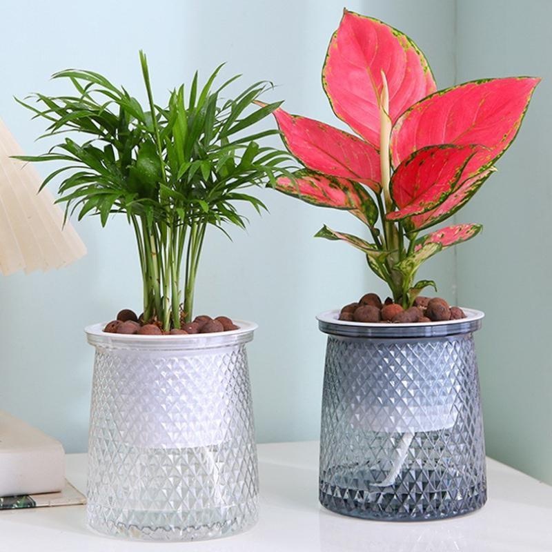 2024 Vaso da fiori trasparente - Hydroponic Tower recensione e prezzo