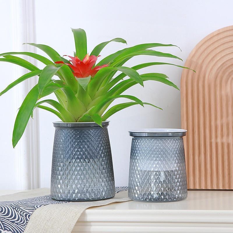 2024 Vaso da fiori trasparente - Hydroponic Tower recensione e prezzo