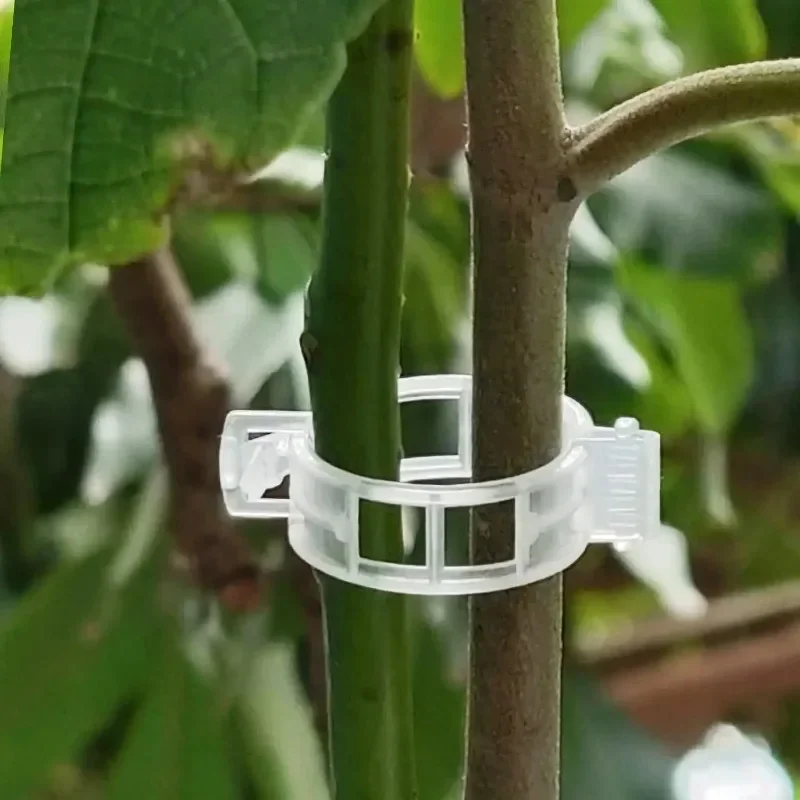 Clip di Supporto per Piante Ri - Smart Garden Kit recensione e prezzo