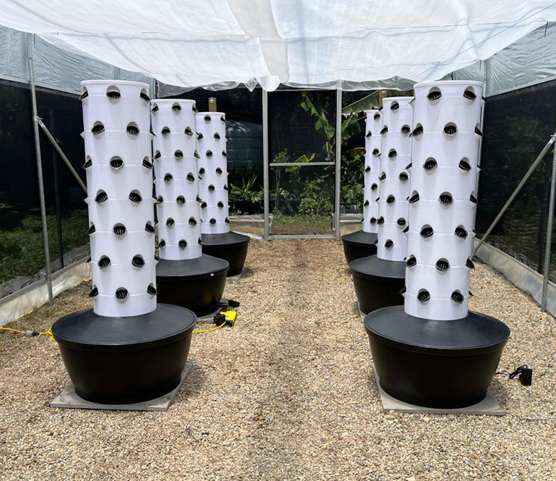 Sistema di Coltivazione Idropo - Hydroponic Tower recensione e prezzo