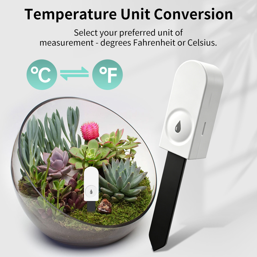 Tester intelligente per il suo - Plant Monitor recensione e prezzo