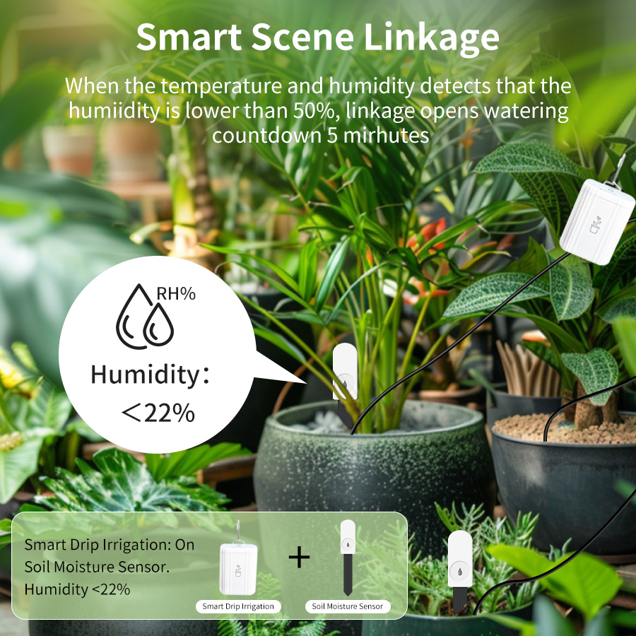 Tester intelligente per il suo - Plant Monitor recensione e prezzo