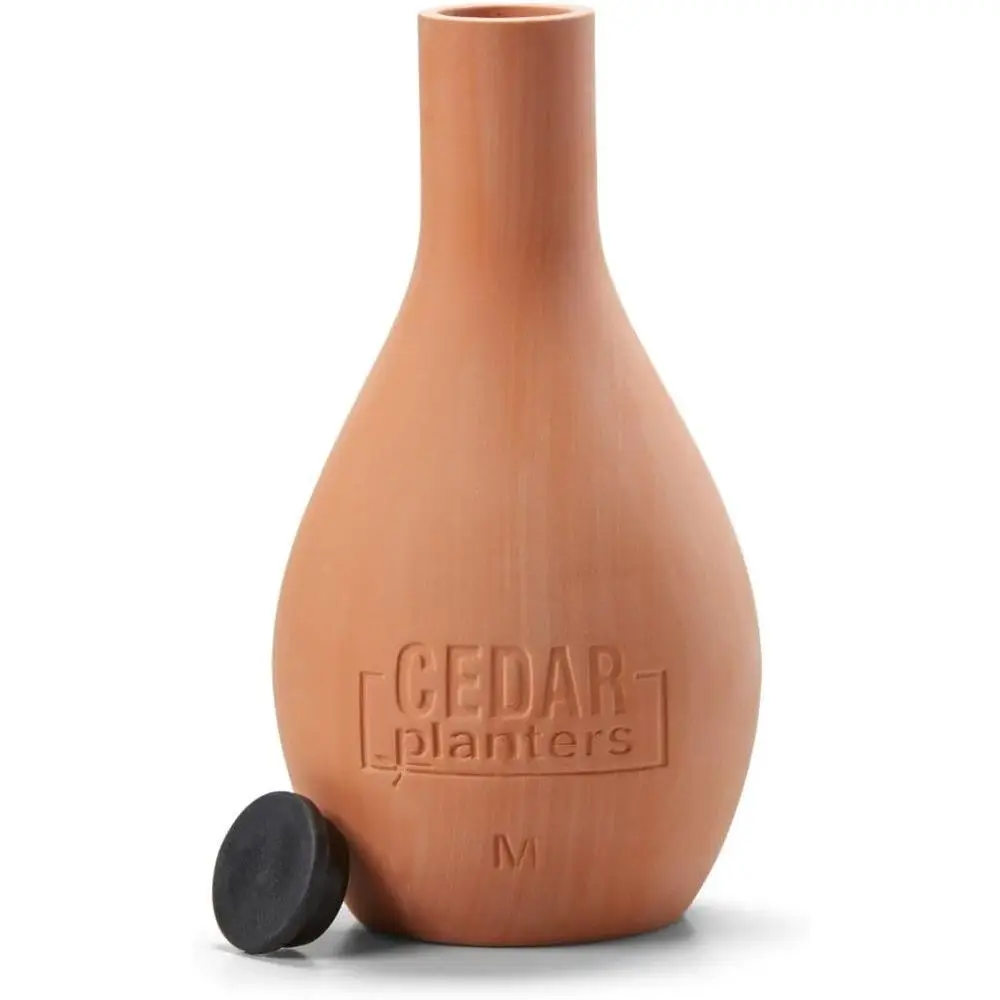 Vaso in Ceramica Autoirrigante - Self Watering Planter recensione e prezzo