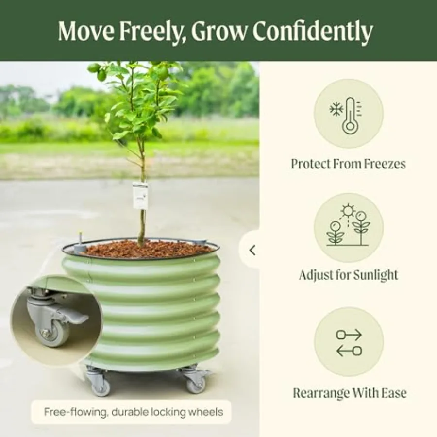 Fioriera a Rullo per Alberi da - Self Watering Planter recensione e prezzo