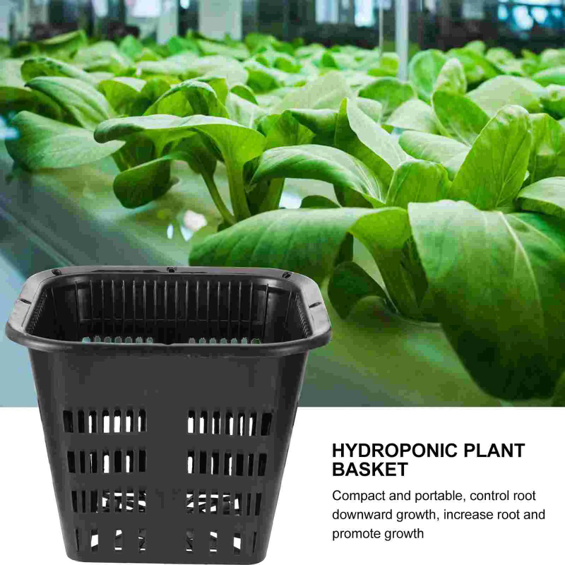 6 Cestini per Coltivazione Idr - Hydroponic Grow Pod recensione e prezzo