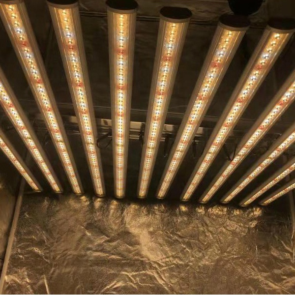 LUX Illuminazione LED per Pian - Grow Light Led recensione e prezzo