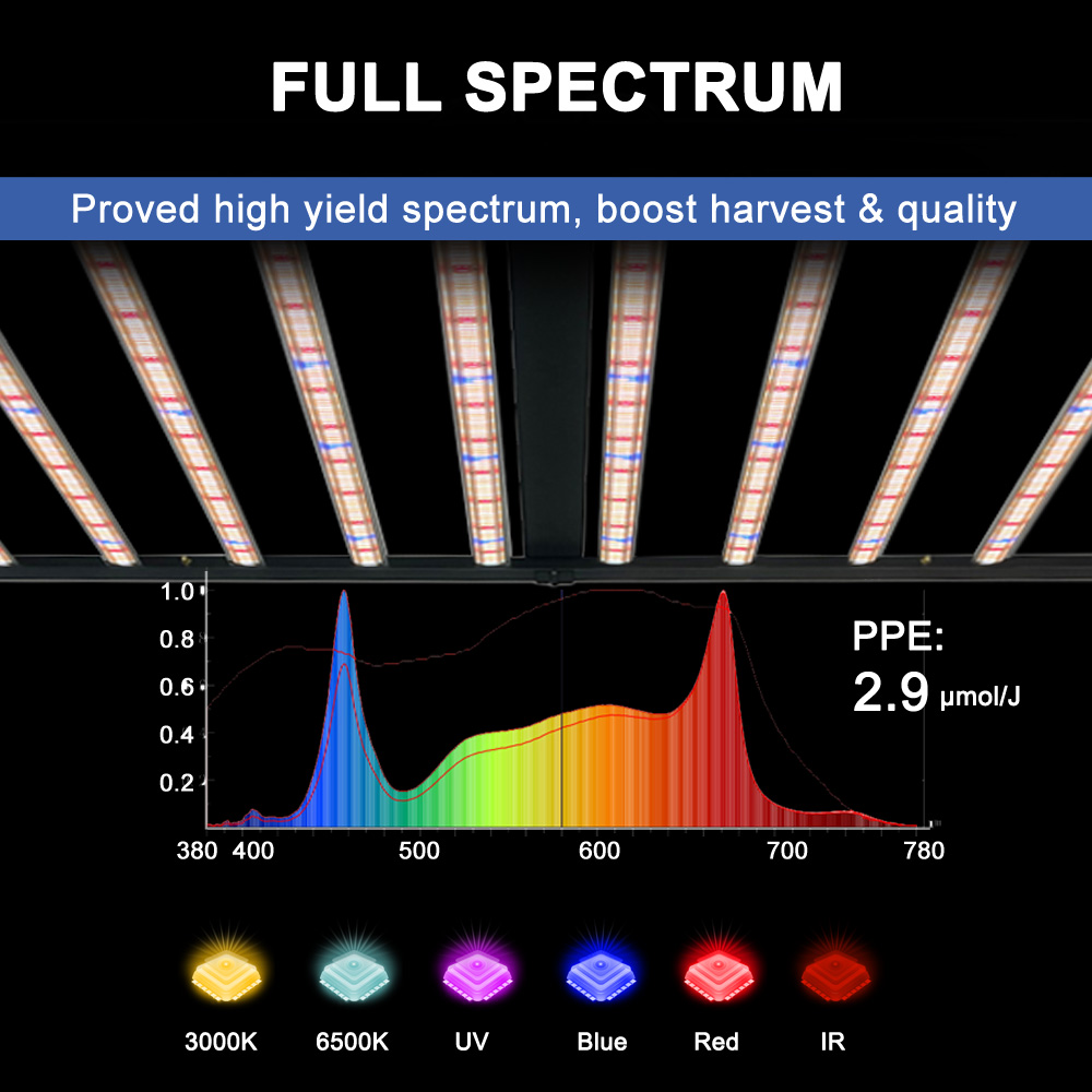 SLTMAKS 8x6FT 4X6FT 1000W Lamp - Grow Light Led recensione e prezzo