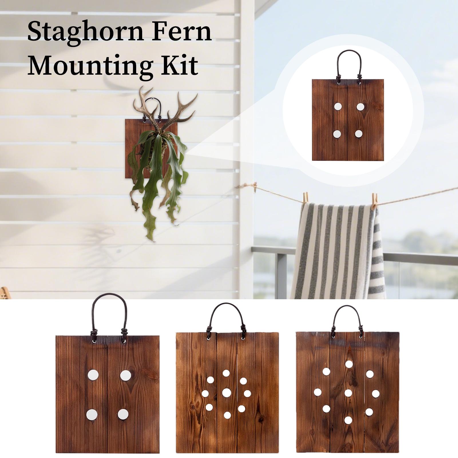 Kit Fioriera da Parete in Legn - Indoor Garden Kit recensione e prezzo