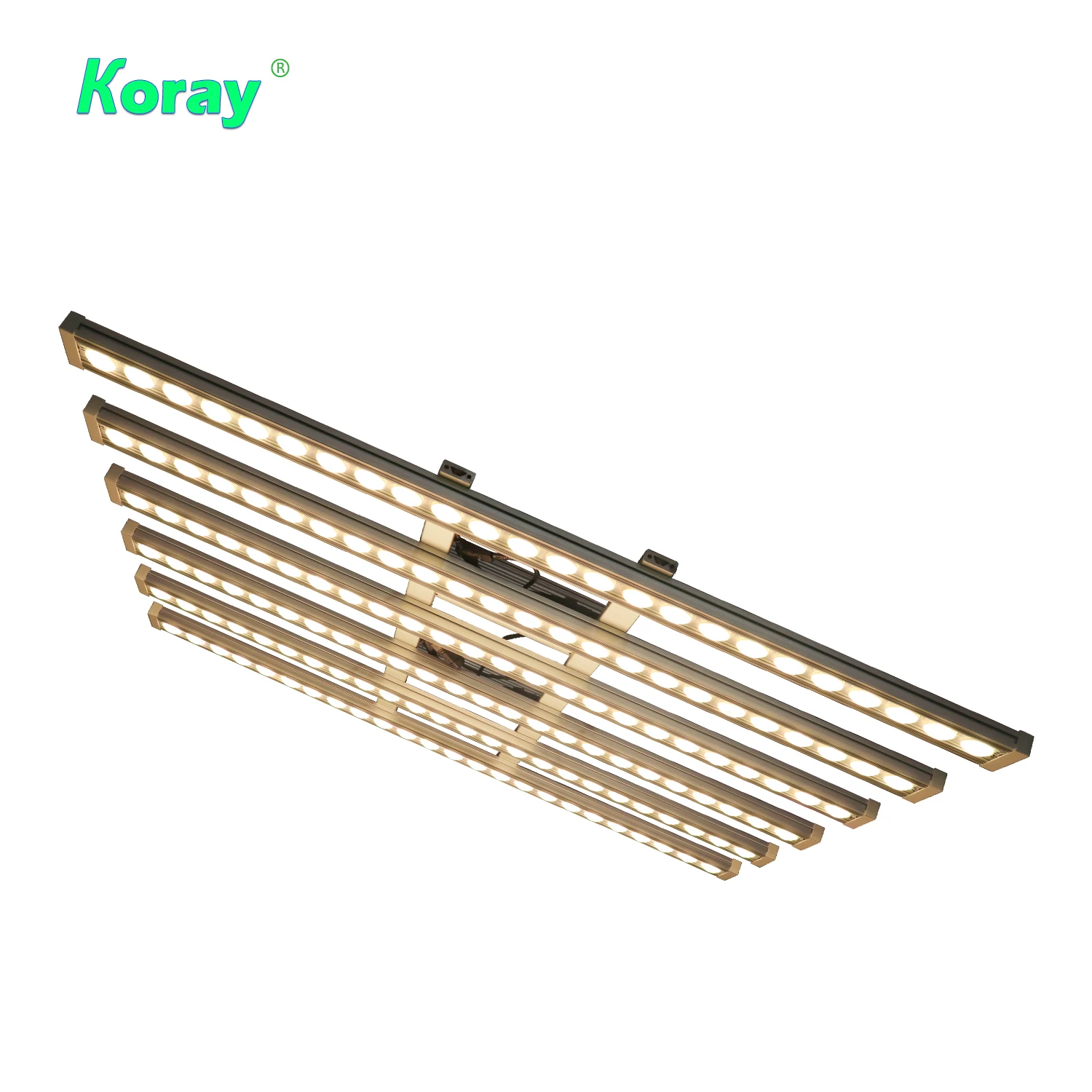 Luce LED per Piante Koray 900W - Grow Light Led recensione e prezzo