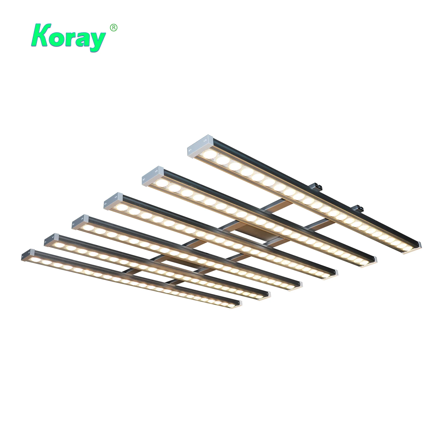 Luce LED per Piante Koray 900W - Grow Light Led recensione e prezzo